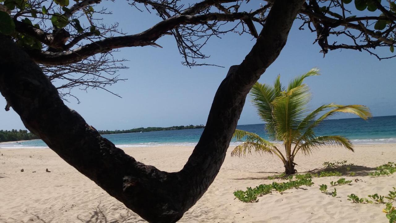 Turquoise Caritan Lägenhet Sainte-Anne Exteriör bild