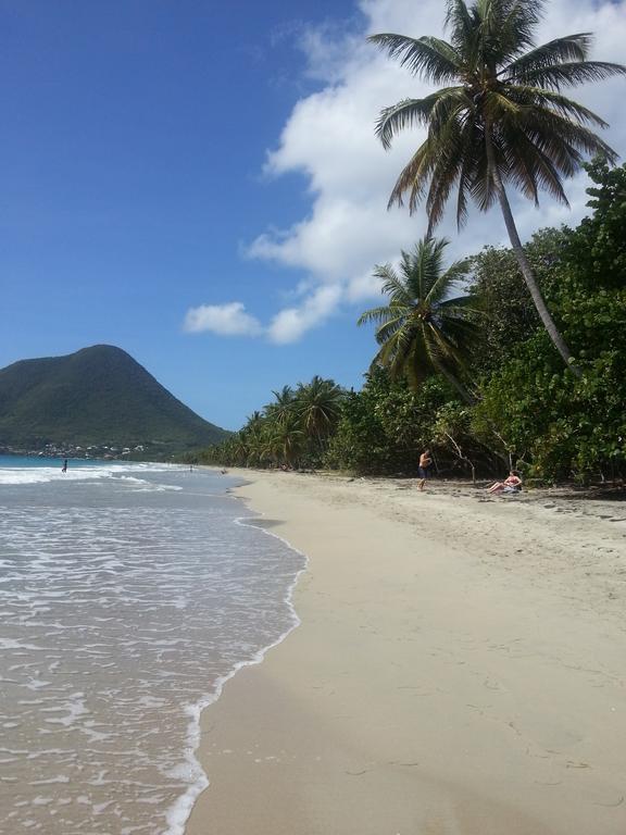 Turquoise Caritan Lägenhet Sainte-Anne Exteriör bild