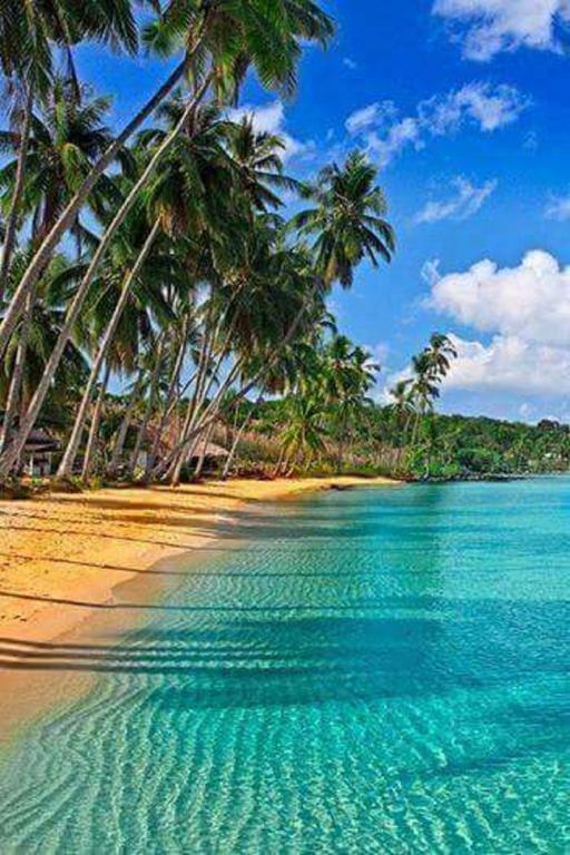 Turquoise Caritan Lägenhet Sainte-Anne Exteriör bild